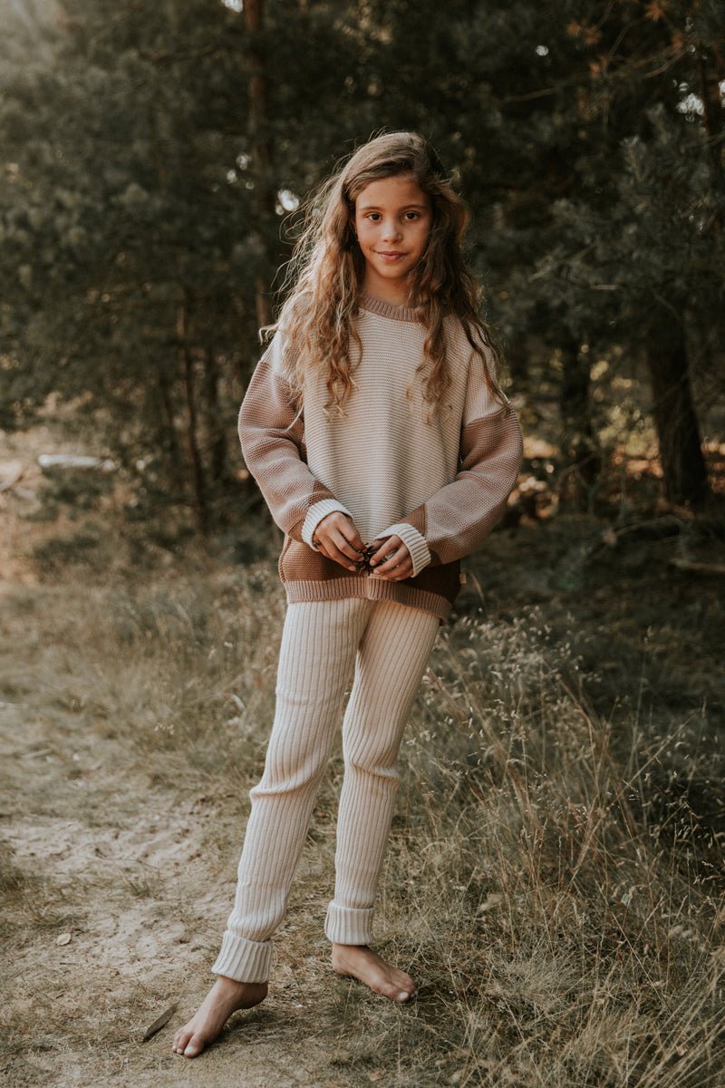 Color Block Sweater